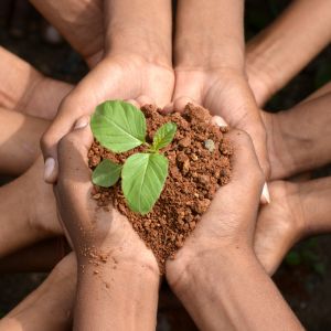 Contribución Ambiental